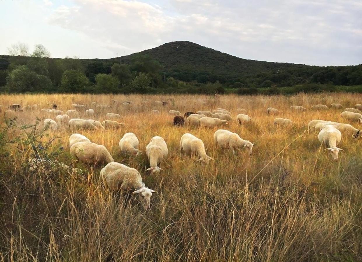 B&B Champdelaplume Barjac  Bagian luar foto