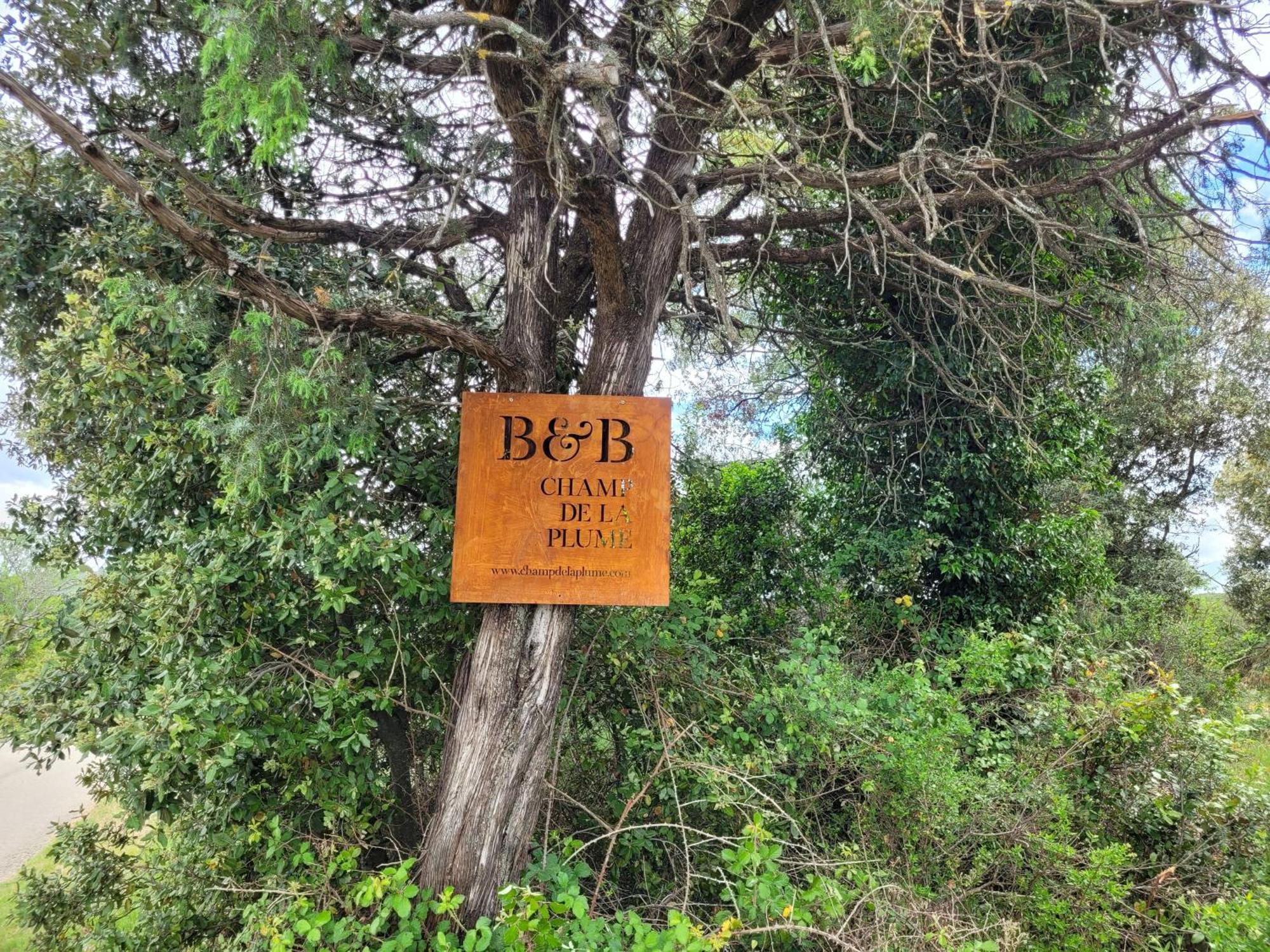 B&B Champdelaplume Barjac  Bagian luar foto